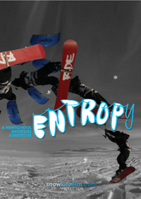 Entropy