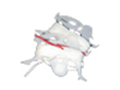 KS3LF227_firewiregirlwhiteb