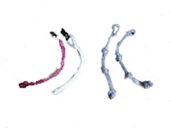 linepigtailswhiteb